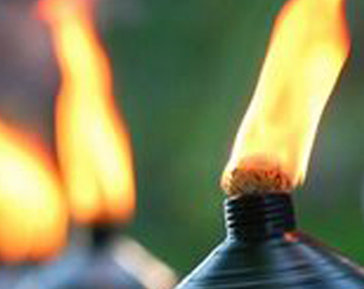 brandstof verdiepen Ironisch Kaarsen en Fakkels online kopen | KaarsenFakkels.nl